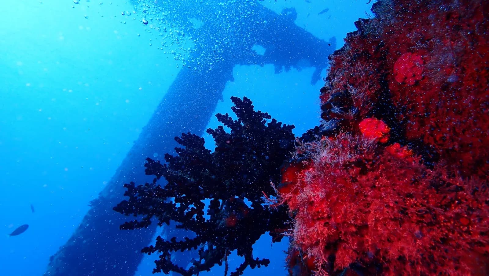 Victory Wreck