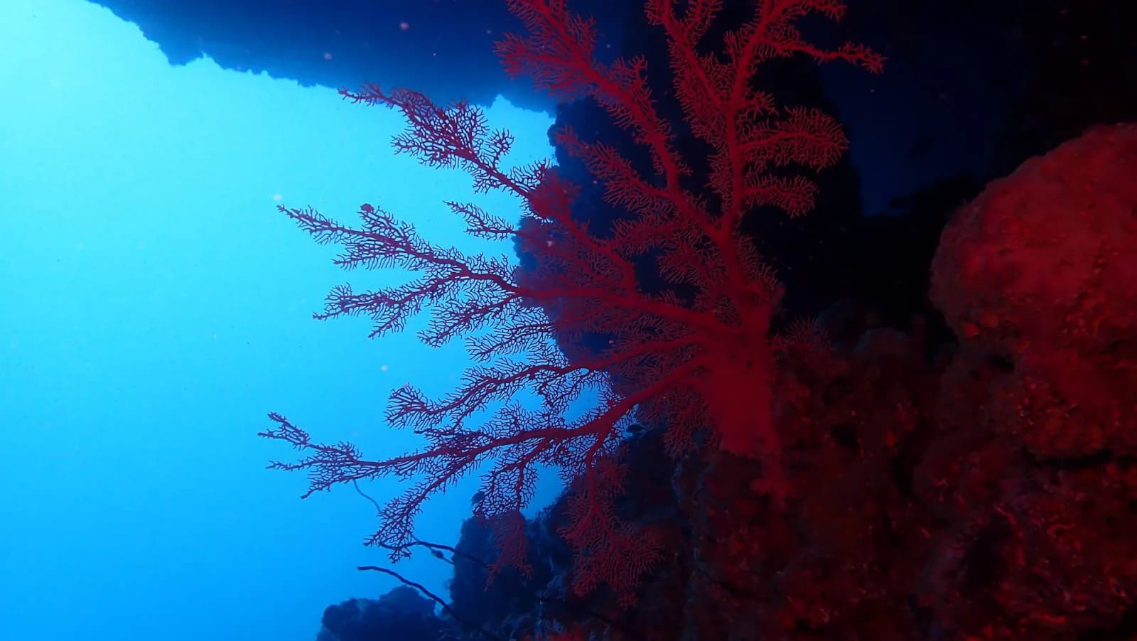Vaadhoo Caves