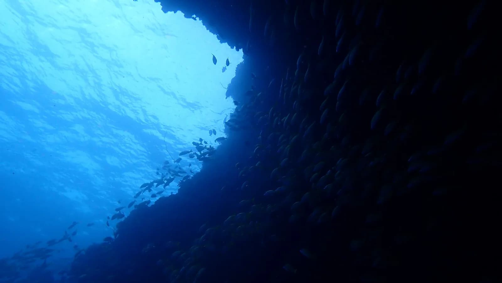 Banana Reef